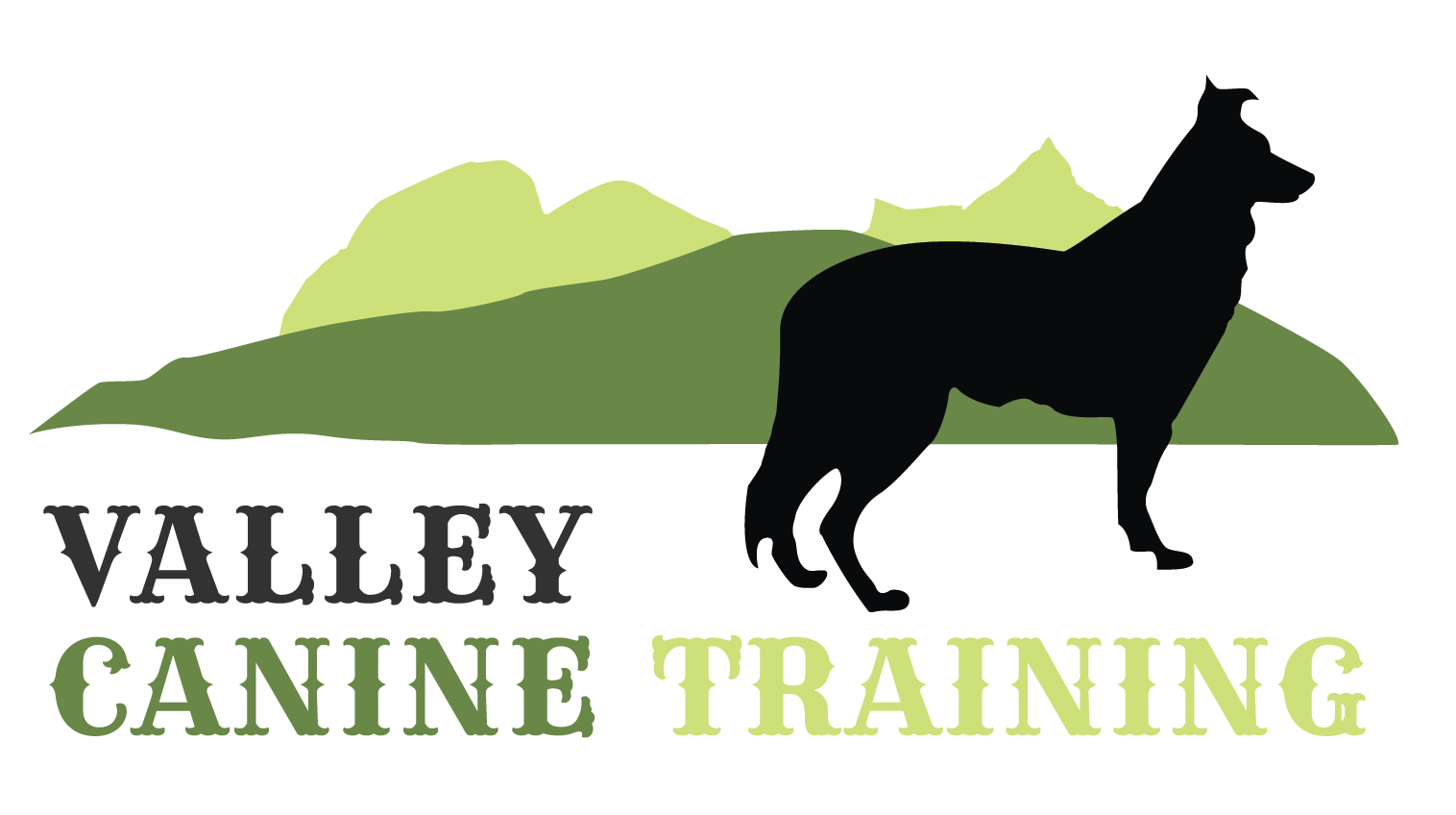 Valley Canine Training