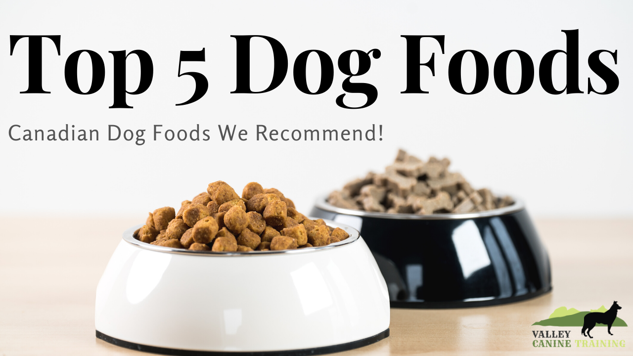 trainingsupplies10 Valley Canine Training