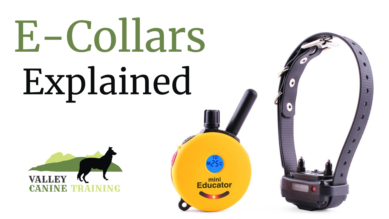 ECollars Explained Valley Canine Training