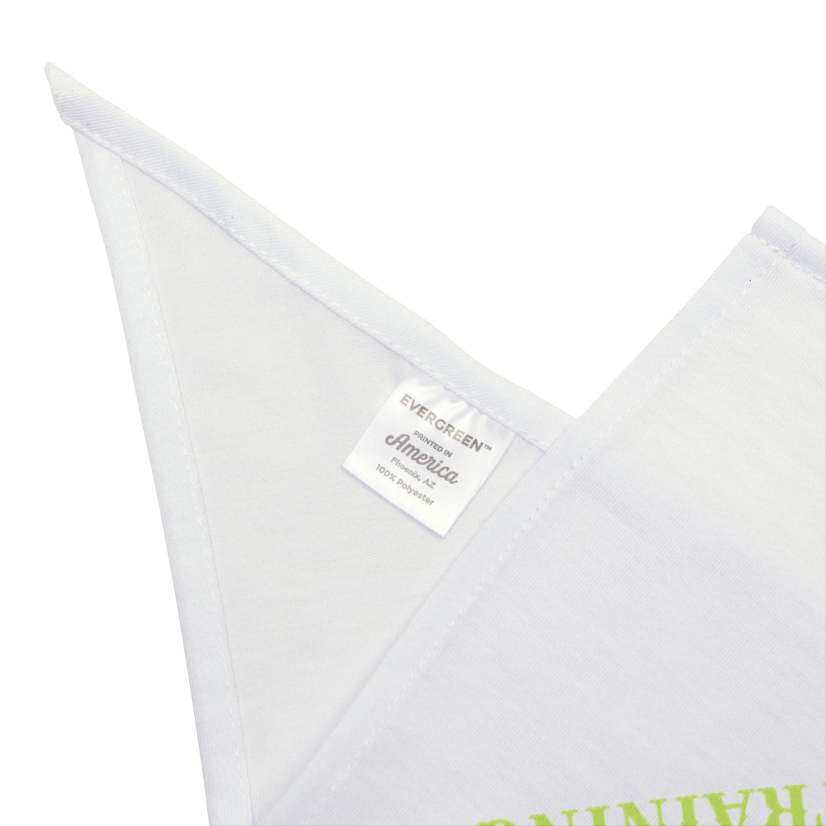 Valley Canine Training Pet Bandana - Image 3