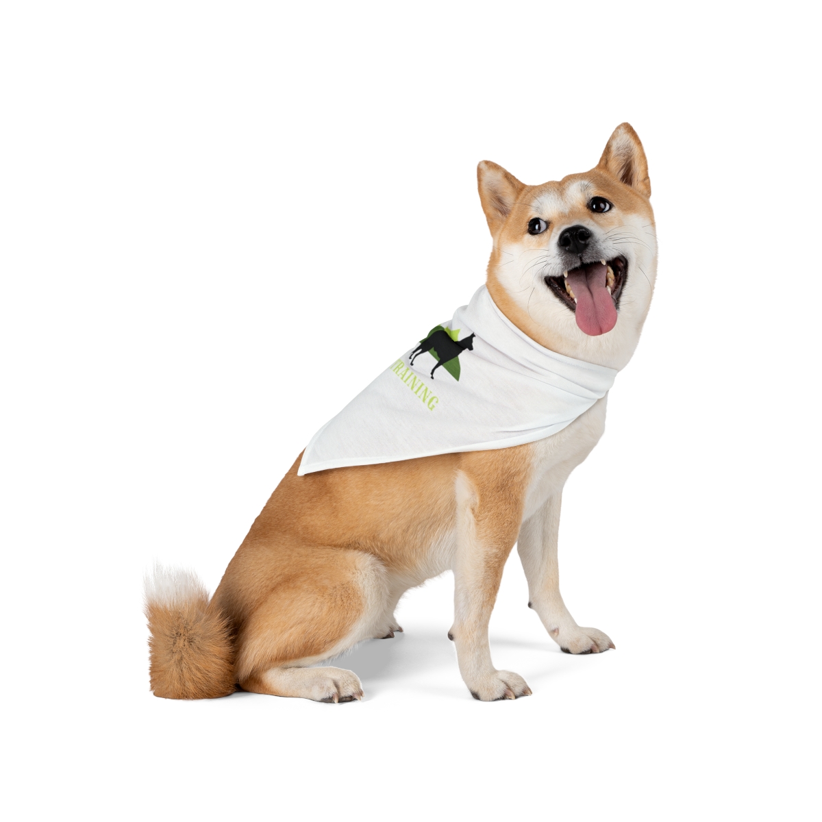 Valley Canine Training Pet Bandana - Image 5
